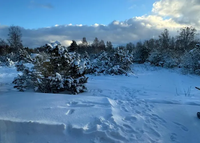 Kadaksalu With Sauna Hinnas Ruu