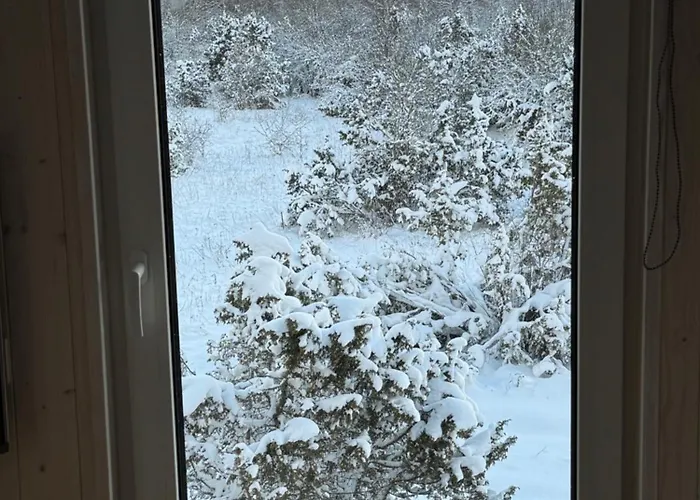 Nyaraló Kadaksalu With Sauna Hinnas